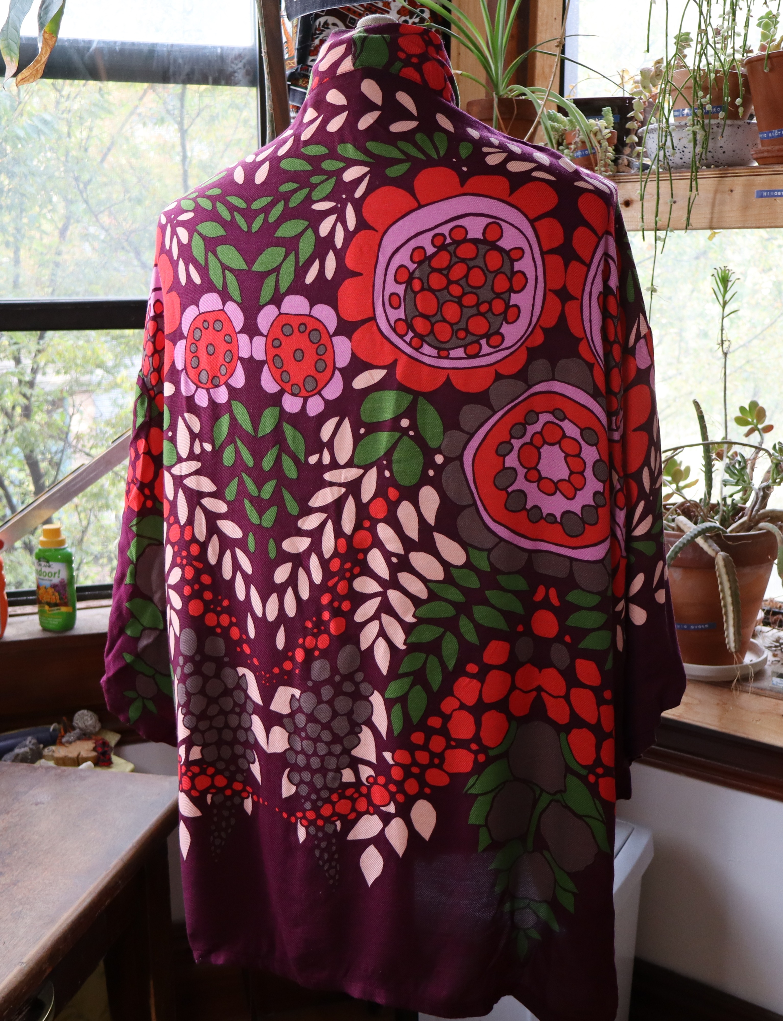 Back of the Gown of the Fruit Thief